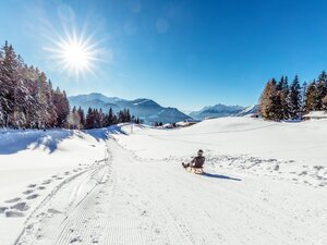 Ein Mann rodelt an der Rodelbahn am Reither Kogel entlang, um ihn eine verschneite Winterlandschaft, über ihm die strahlende Sonne 
