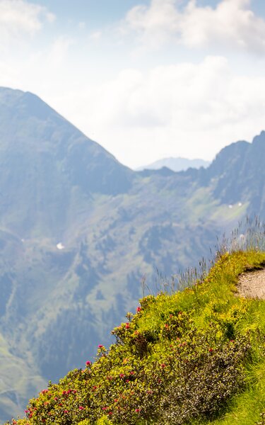 Zwei Kinder wandern dem Panoramaweg entlang am Wiedersberger Horn in Alpbach | © Alpbachtal Tourismus | shootandstyle 