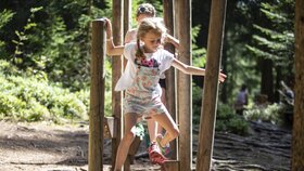Zwei Mädels spielen auf einem Gerüst im Juppi Zauberwald in Reith i.A. | © Alpbachtal Tourismus | shootandstyle 