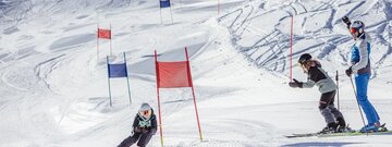 Skifahren wie die Profis