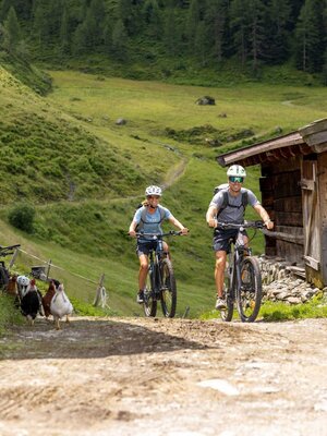 Mountainbiker auf der Farmkehralm | © Mathäus Gartner