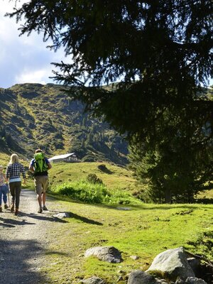'Alpine pasture route Inneralpbach | © Bernhard Berger