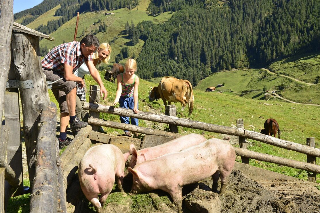 Inneralpbach_Luegergraben_Außer Mareitalm | © Bernhard Berger