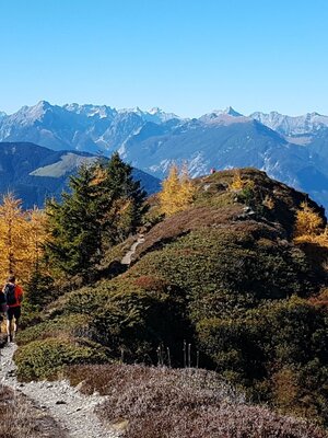 Herbstwanderung Reith im Alpbachtal Loderstein | © Magdalena Hechenblaikner