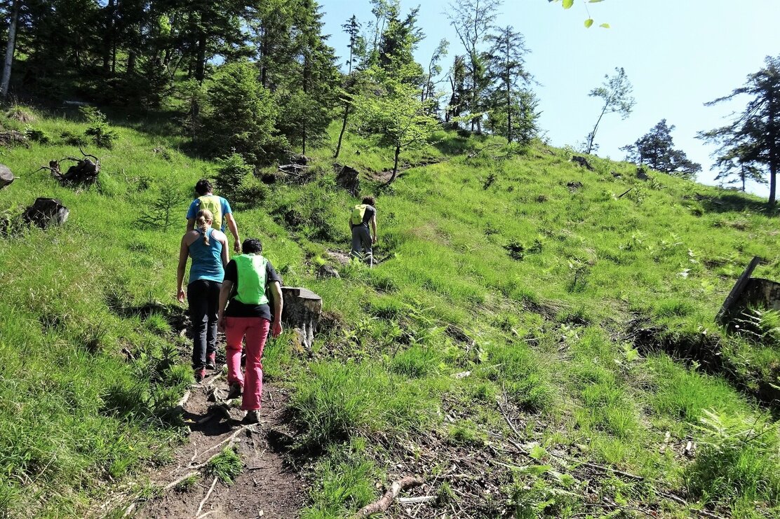 Ascent Voldöpper Spitz from Kramsach | © Michael Larcher