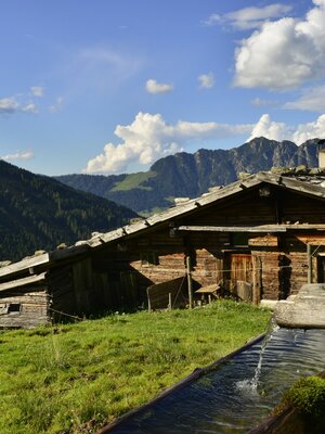 Stettauer Alm im Sommer | © Bernhard Berger