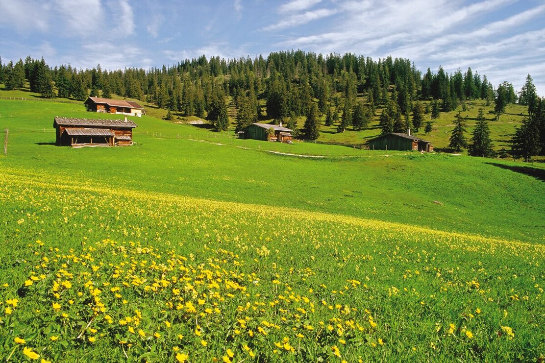 Alpine pasture area Eilalm Labeggalm Brandenberg | © Birgit Angermair