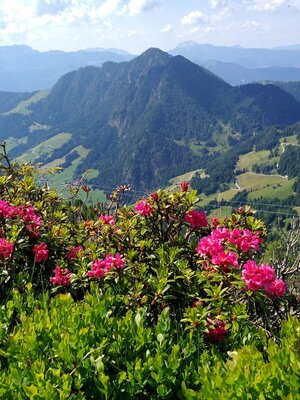 Blick vom Schatzberg zum Gratlspitz