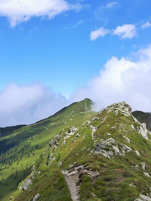 Bergrücken zwischen Wiedersberger Horn und Standkopf