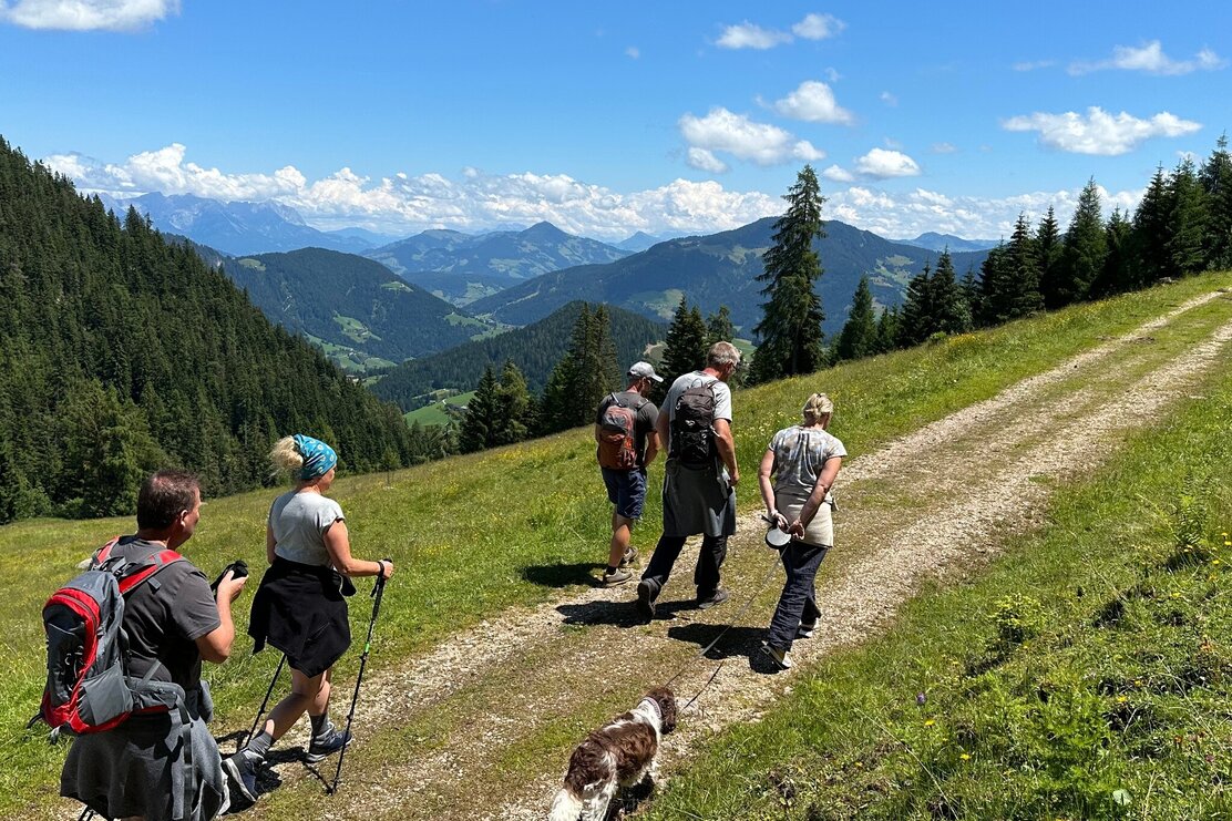 Von Holzalm rund um Gratlspitze Richtung Hösljoch