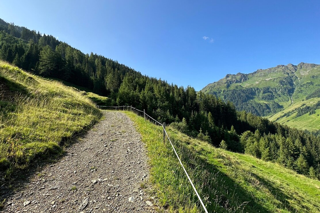 Jagdsteig Path Inneralpbach - Stettauer Almen | © sa