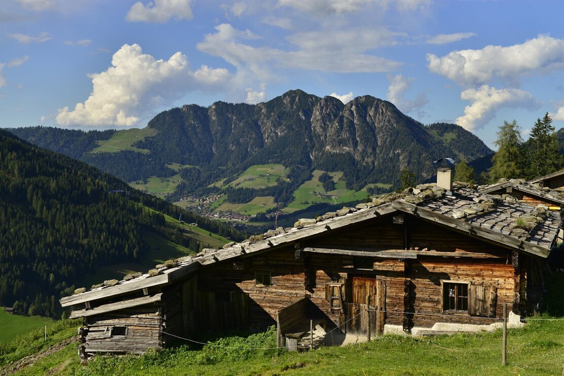 Stettauer Alm Inneralpbach
