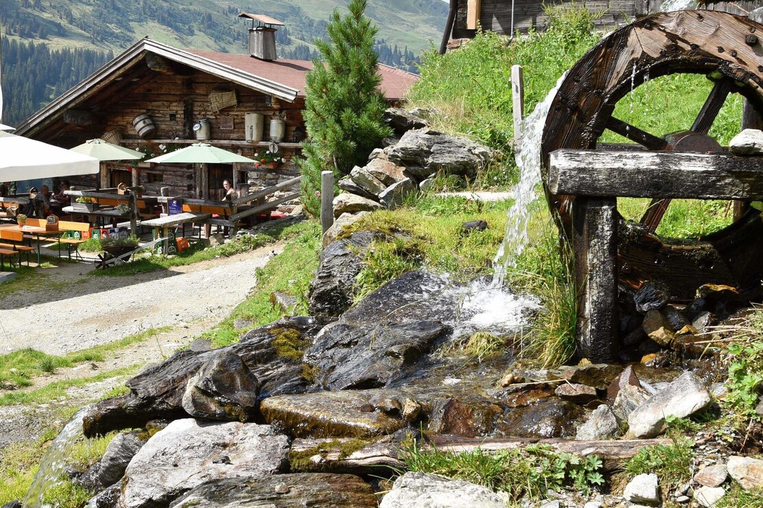 Farmkehralm | © Gabriele Grießenböck