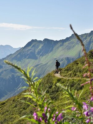 Panoramaweg Wiedersbergerhorn Alpbach | © Gabriele Grießenböck