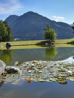 Speicherteich Wölzenberg Reith i.A. | © Gabriele Grießenböck