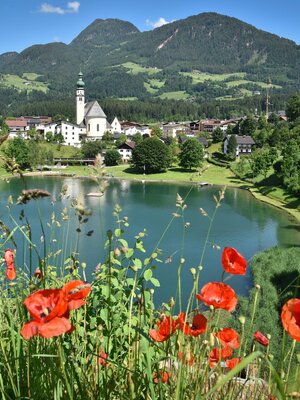 Reither See