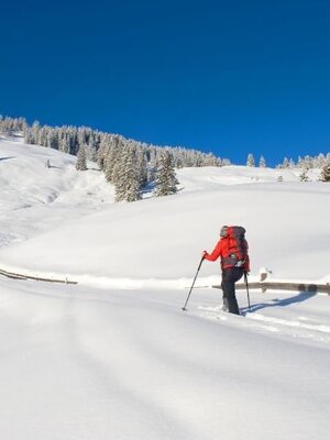 Aufstieg Skitour