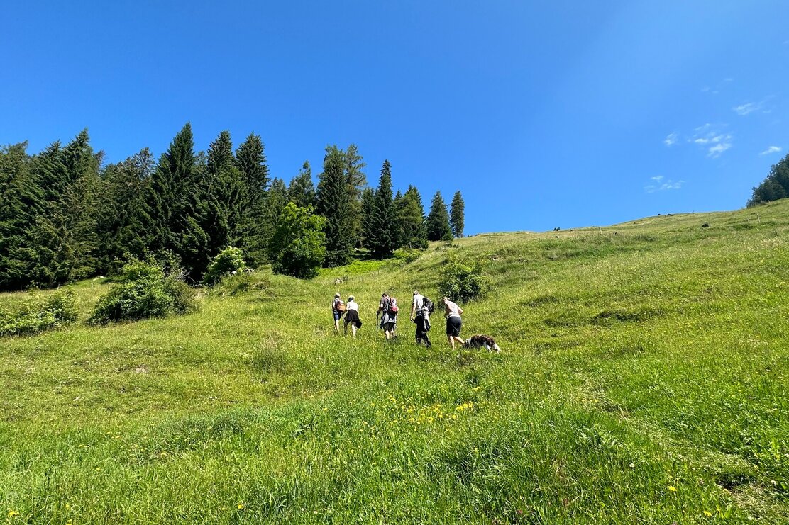 Aufstieg Richtung Hauser Joch