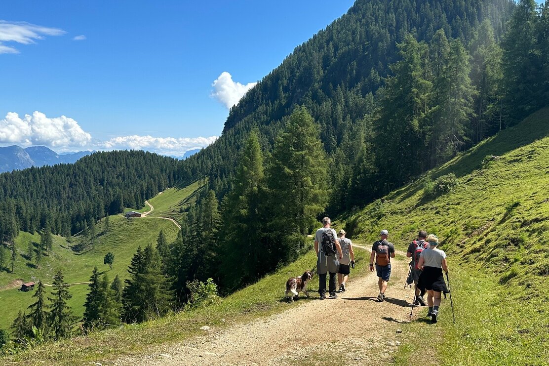 Vom Hauser Joch zur Holzalm