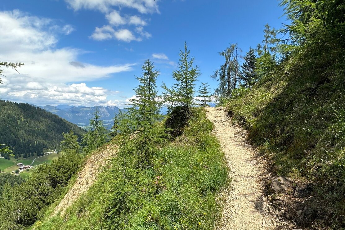 Weg Richtung Hösljoch
