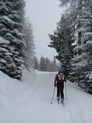 Aufstieg in Richtung Schatzberg | © Claudia Ager