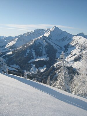 Blick in Richtung Galtenberg | © Adi Moser