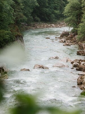 Wanderung Tiefenbachklamm, CCE Wanderdörfer | © Maria Pfeifer