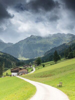 Weg zur Böglalm Inneralpbach | © Matthias Sedlak