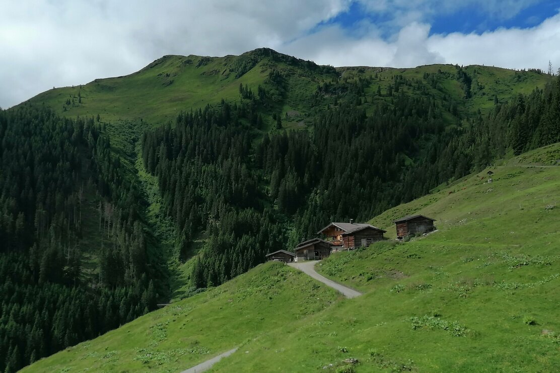 wildschoenau_tourismus_talsalmen_gg_joel_gewi.jpg | © Wildschönau Tourismus