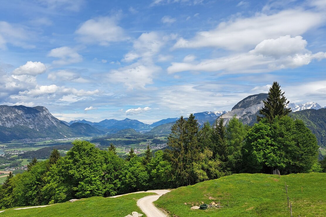 moeslalm_mtb_343_3.jpg | © Wildschönau Tourismus