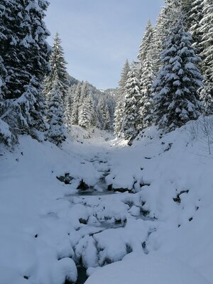 Aschbachtal.jpg | © Wildschönau Tourismus