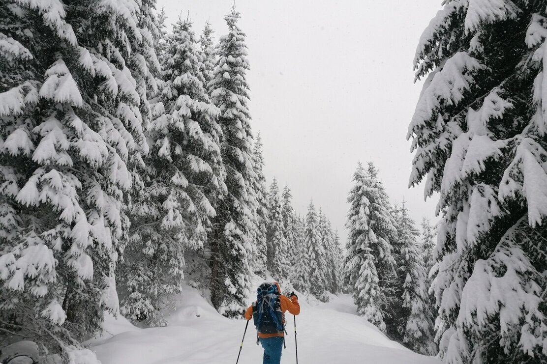 Wildschönau Auffach Breitegg Wald.jpg | © Wildschönau Tourismus