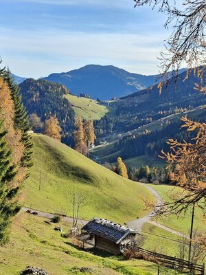 20251113_092249.jpg | © Wildschönau Tourismus