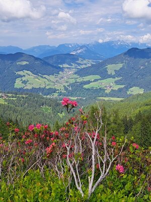 schatzberg_mtb_351_14.jpg | © Wildschönau Tourismus