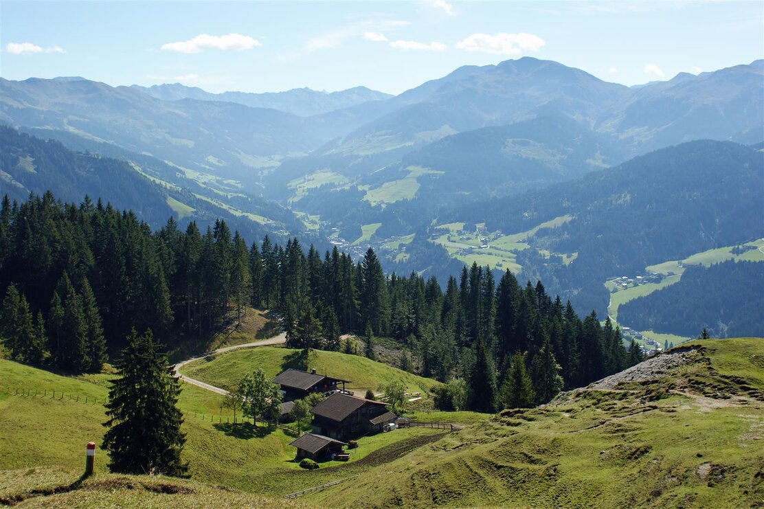 Wildscönau Oberau Kragenjoch Sommer.jpg | © Wildschönau Tourismus