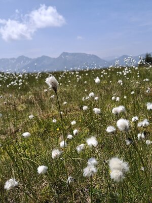 20250611_123948.jpg | © Wildschönau Tourismus