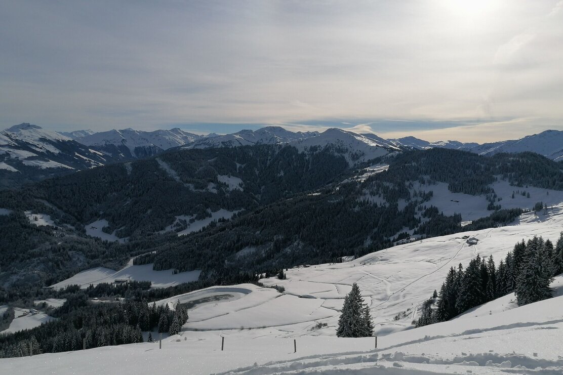 Aussicht Richtung Süden.jpg | © Wildschönau Tourismus