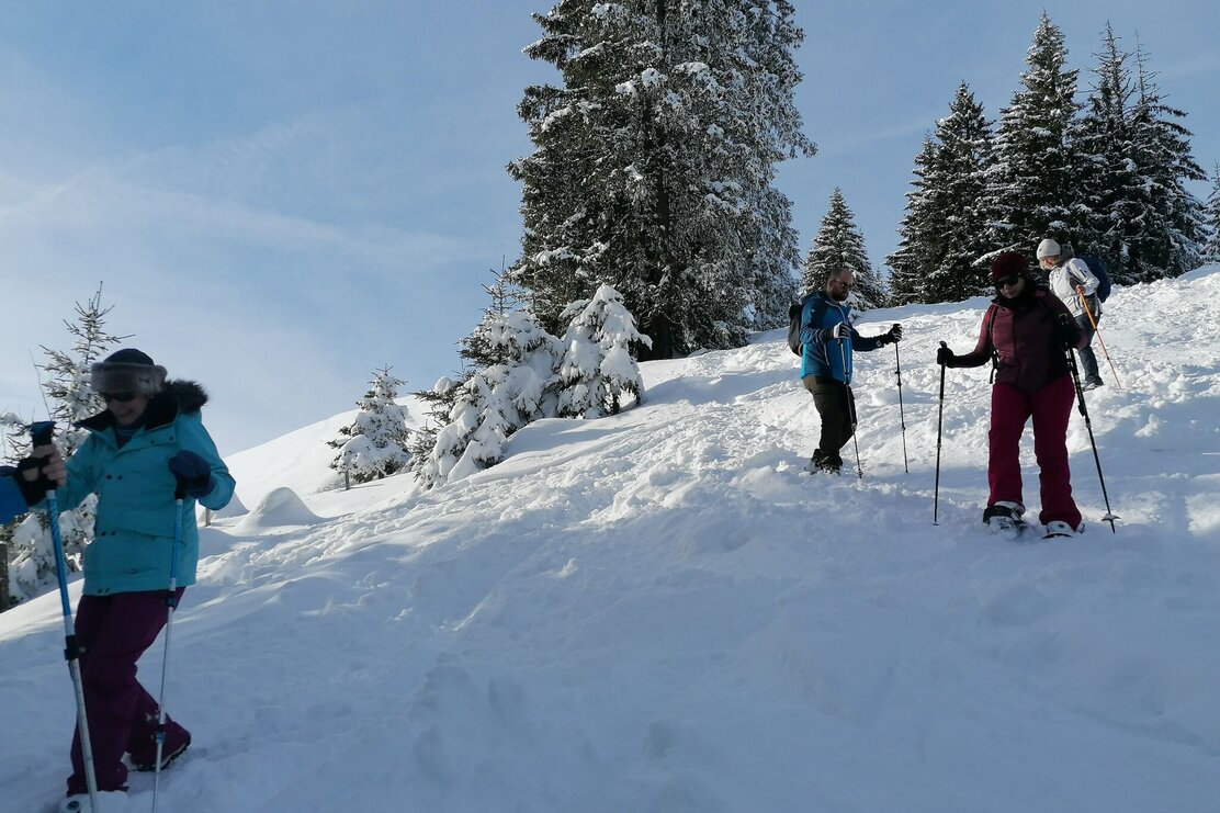 bergab.jpg | © Wildschönau Tourismus