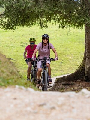 schatzberg_runde.jpg | © Wildschönau Tourismus