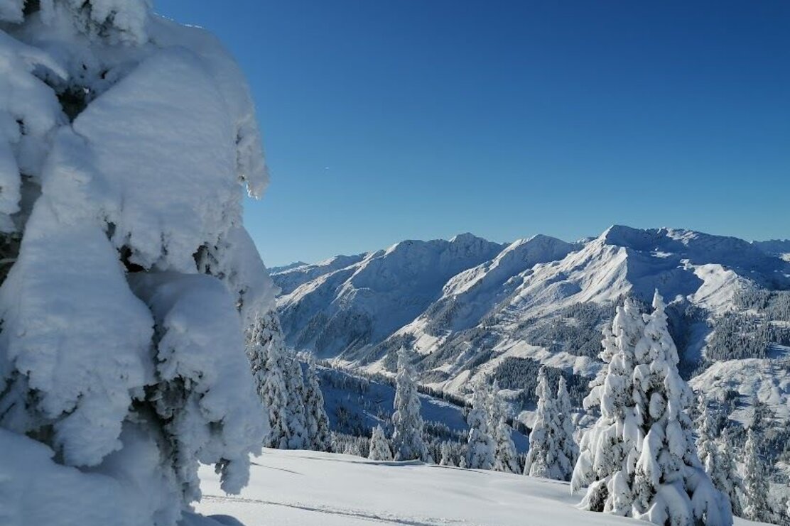 weite Flächen.jpg | © Wildschönau Tourismus