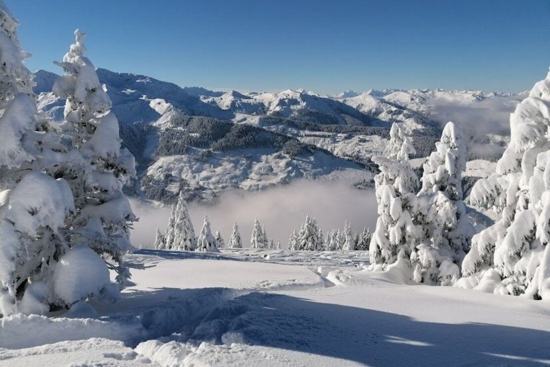 ochi.jpg | © Wildschönau Tourismus