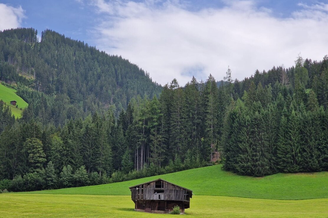 wildschoenau_tourismus_roggenboden_1130263693.jpg | © Wildschönau Tourismus