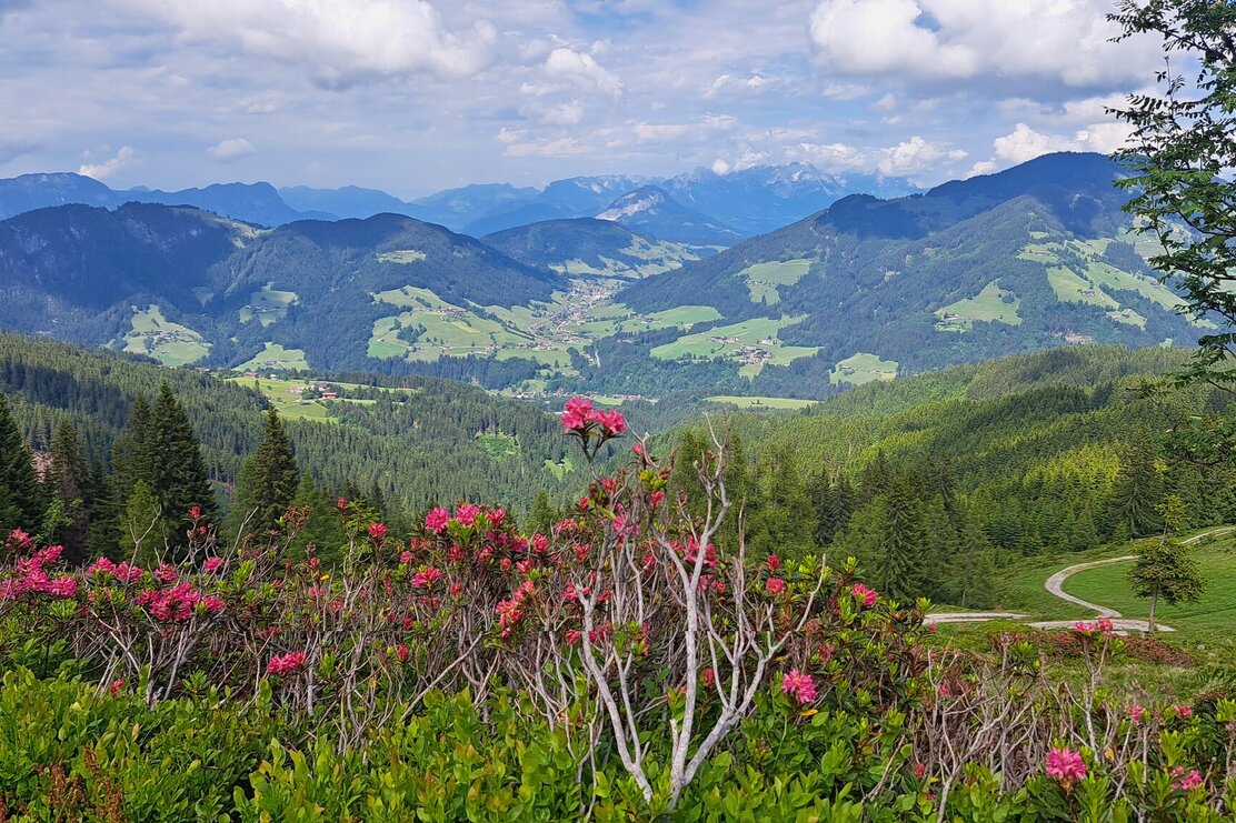 Wildschönau Schatzberg  | © Wildschönau Tourismus