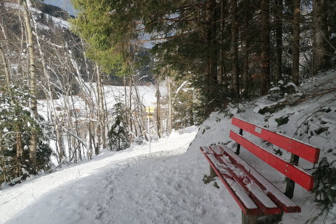 Waldbankerl.jpg | © Wildschönau Tourismus