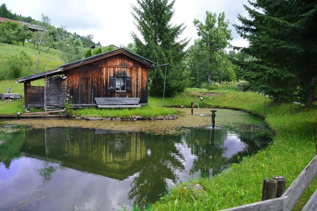 Wildschönau Niederau Auenweg Sommer | © Wildschönau Tourismus
