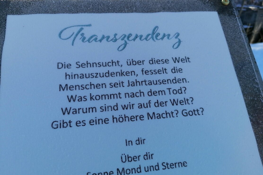 IMG_20241213_115226.jpg IMG_20241213_115226.jpg