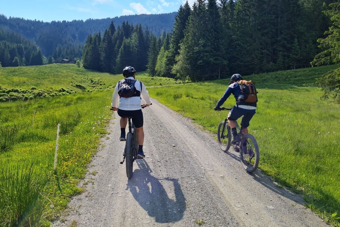 Biketour m. Rainer Schonner_Weg uur Haagalm.jpg | © Wildschönau Tourismus