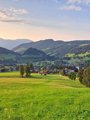 waldrandweg_niederau__1.jpg | © Wildschönau Tourismus