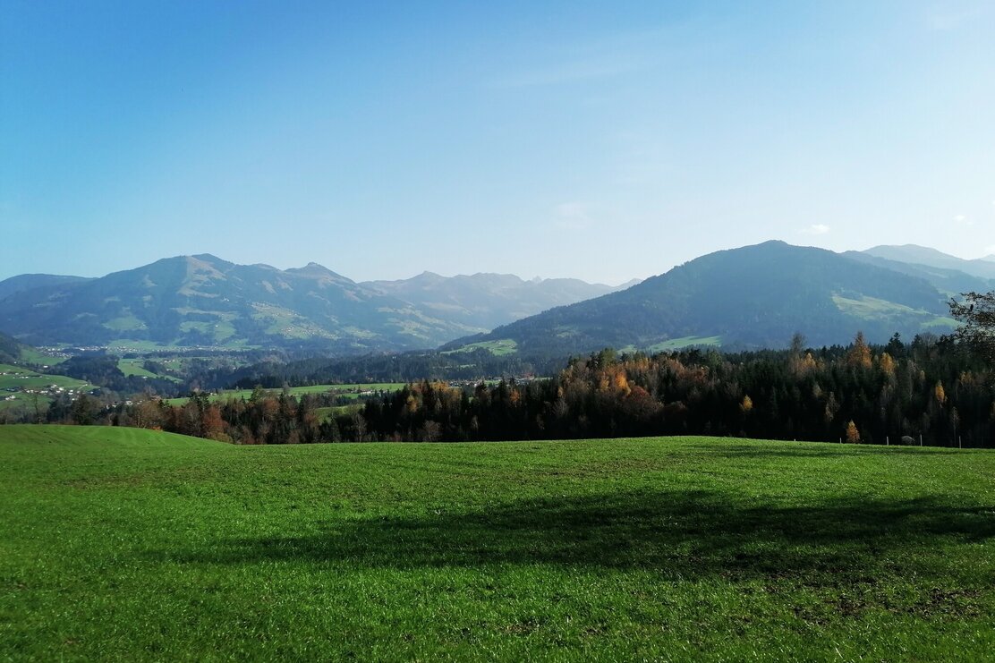wildschoenau_tourismus_grafenweg_2_gewi_274132823.jpg | © Wildschönau Tourismus