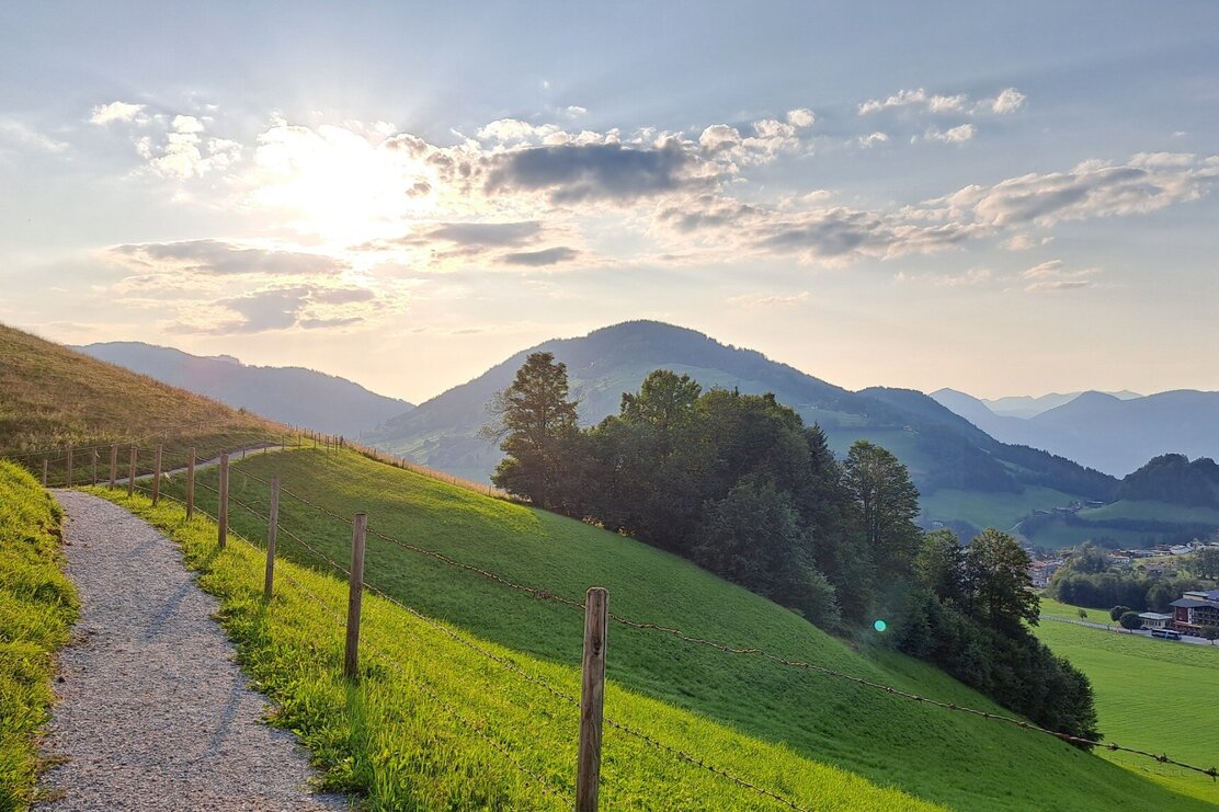 Wildschönau Tourismus Waldrandweg Niederau 1.jpg | © Wildschönau Tourismus Wildschönau Tourismus Waldrandweg Niederau 1.jpg | © Wildschönau Tourismus